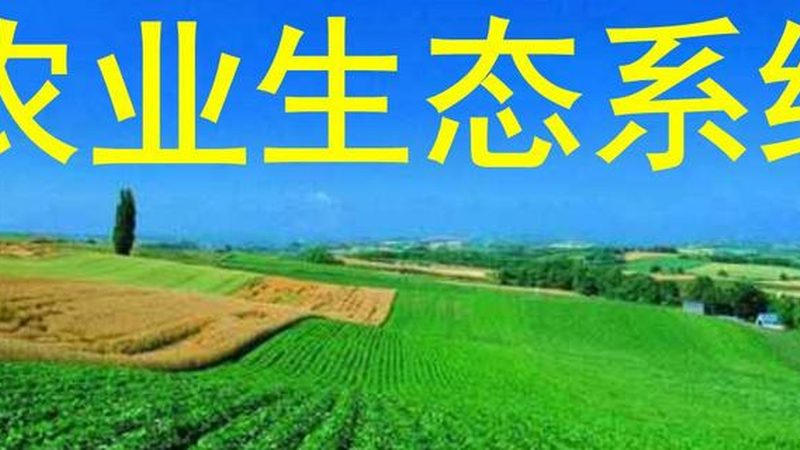 成都农产品供应链金融服务的革新之路