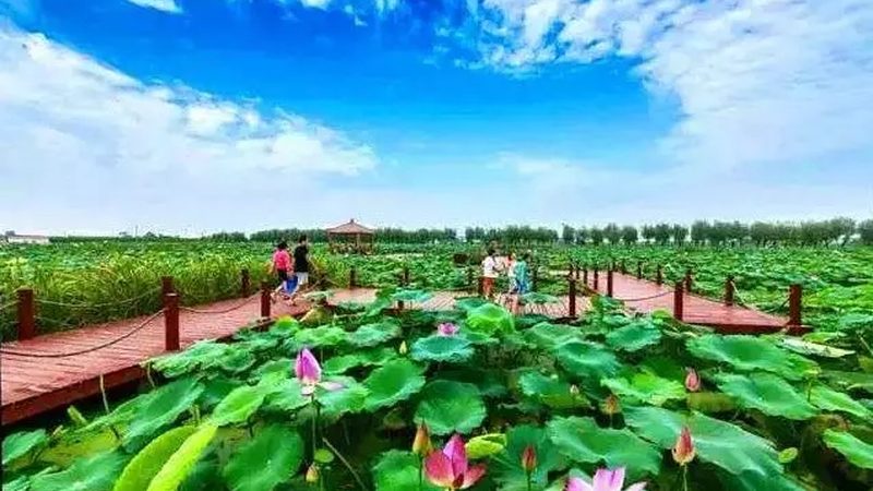 果蔬配送中心标准化建设：从粗放运营到系统管控