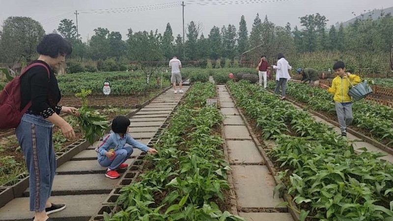 农机专业合作社设立条件：哪些要素是关键**
