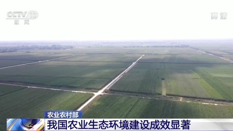 有机食品绿色食品哪个更安全