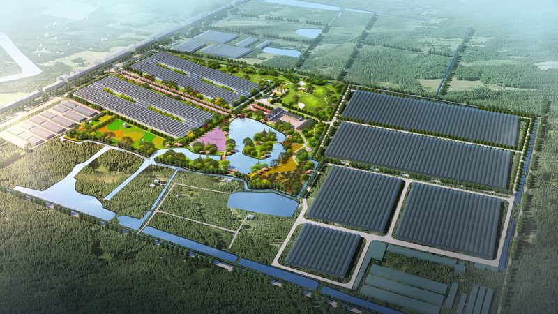 农业种植地块报价影响因素探析**