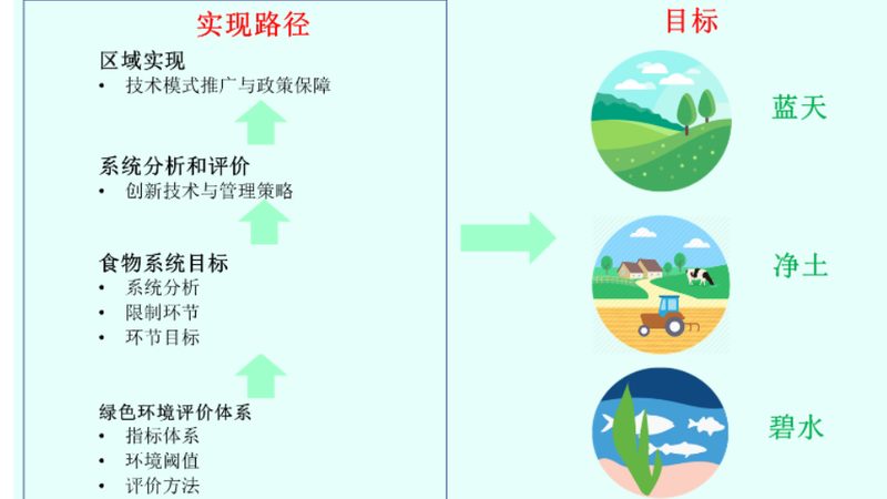 家庭农场立体种养模式：打造高效生态农业新范式