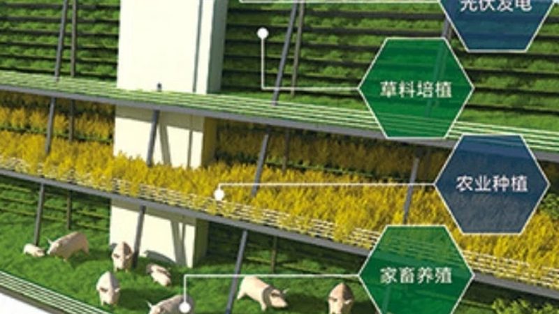 农田土壤质量新规落地，你的地达标了吗