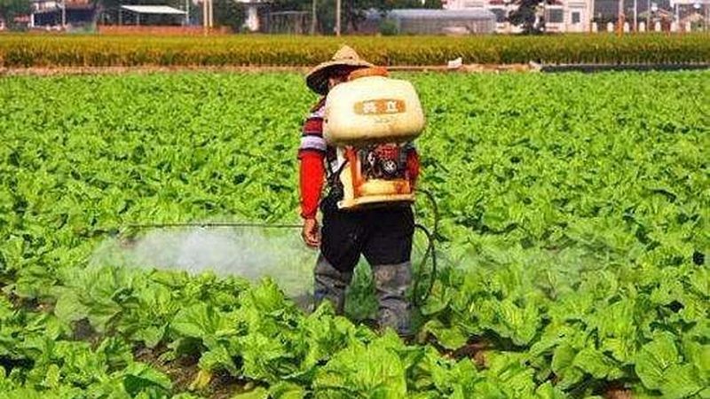 农业种植新技术的选择：如何科学评估与选型